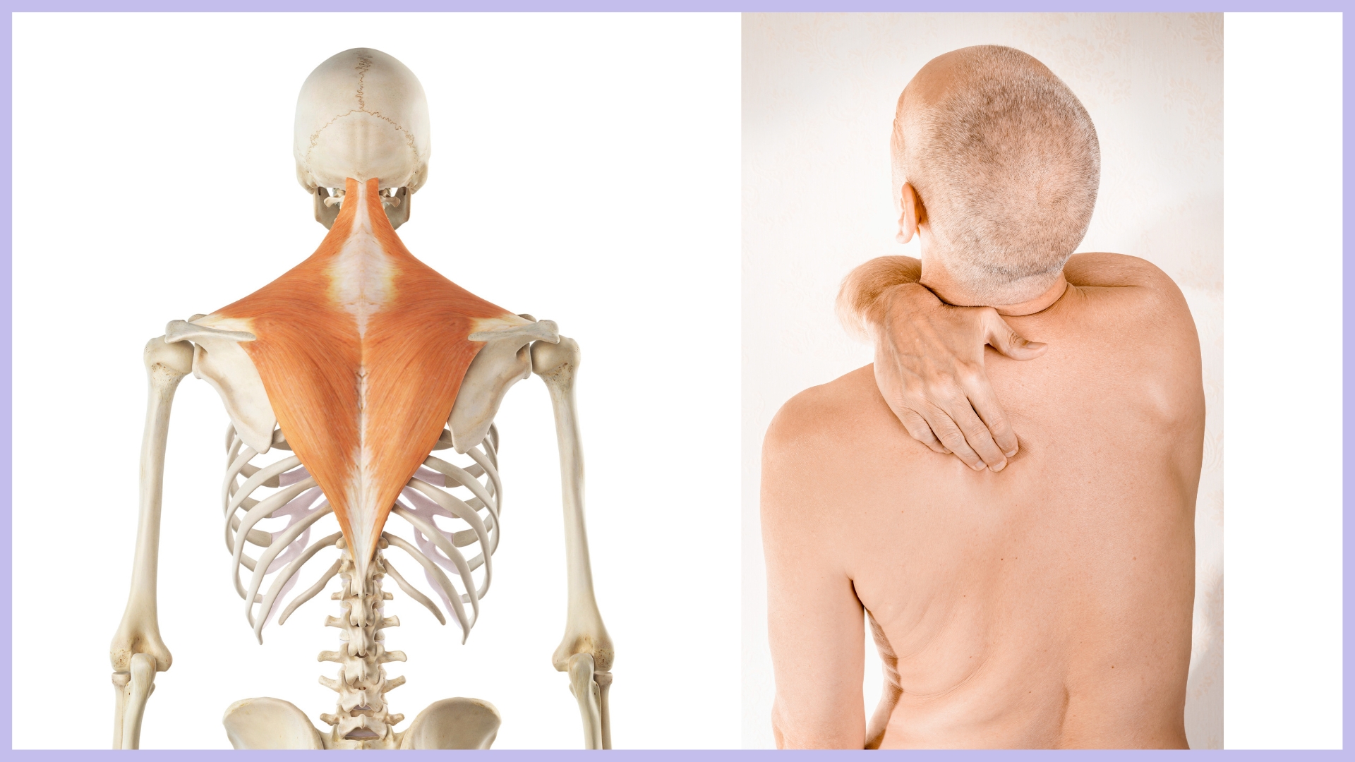 douleur-trapeze-gauche-signification-spirituelle douleur trapeze gauche signification spirituelle