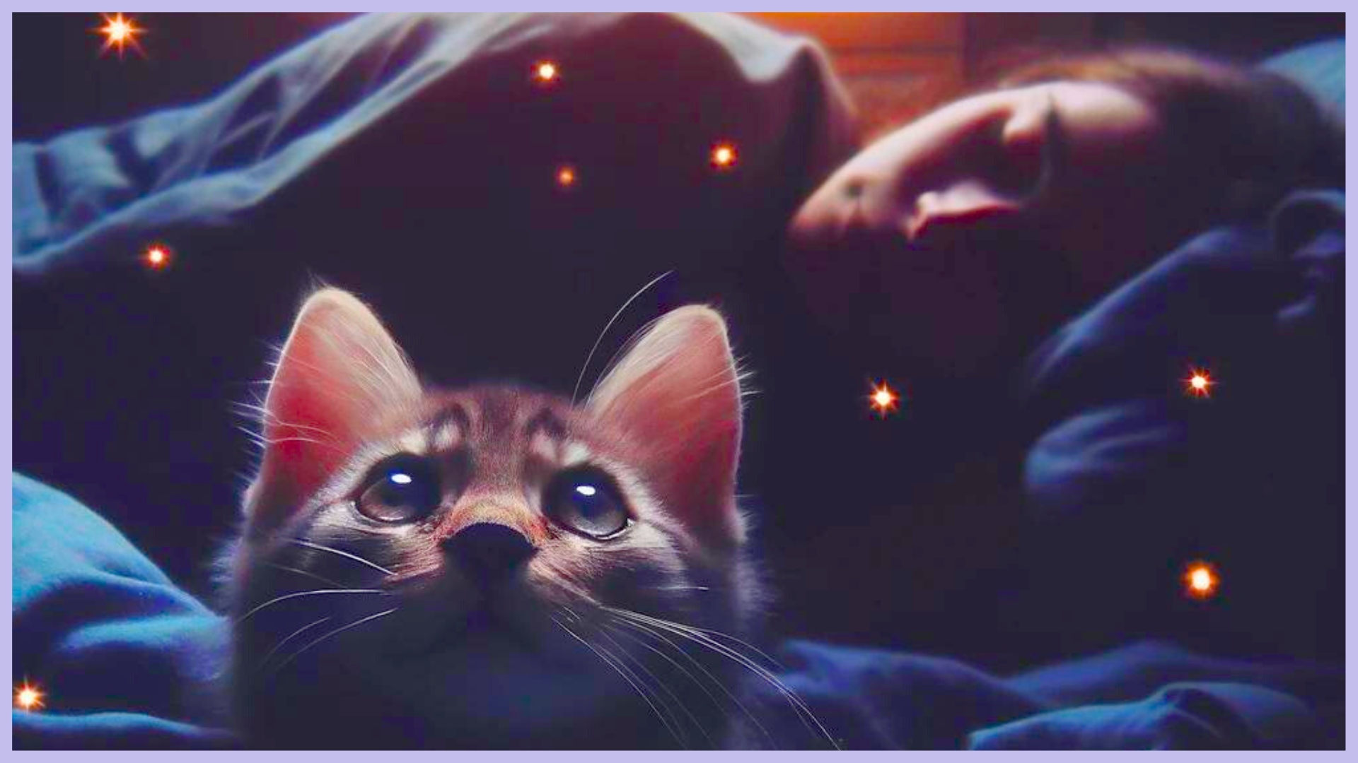 attirer les chats